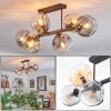 Ripoll ceiling light, globe light Amber, clear, Smoke-coloured, 6-light sources