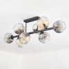Koyoto ceiling light, globe light Amber, clear, Smoke-coloured, 8-light sources