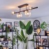 Chehalis ceiling light, globe light clear, 5-light sources