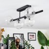 Chehalis ceiling light, globe light clear, 5-light sources
