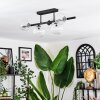 Chehalis ceiling light, globe light clear, 5-light sources