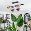 Chehalis ceiling light, globe light Amber, clear, Smoke-coloured, 5-light sources