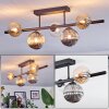 Chehalis ceiling light, globe light Amber, clear, Smoke-coloured, 5-light sources