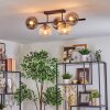 Koyoto ceiling light, globe light Amber, clear, Smoke-coloured, 5-light sources