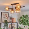 Koyoto ceiling light, globe light Amber, clear, Smoke-coloured, 5-light sources