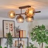 Ripoll ceiling light, globe light Amber, clear, Smoke-coloured, 5-light sources