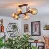 Ripoll ceiling light, globe light Amber, clear, Smoke-coloured, 6-light sources