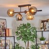 Koyoto ceiling light, globe light Amber, chrome, clear, Smoke-coloured, 5-light sources