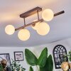 Chehalis ceiling light, globe light white, 5-light sources