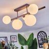Chehalis ceiling light, globe light white, 5-light sources