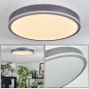 Salmi ceiling light, Panel LED grey, silver, 1-light source