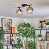 Koyoto ceiling light, globe light chrome, clear, Smoke-coloured, 2-light sources