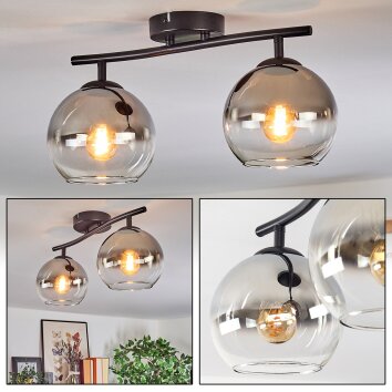 Koyoto ceiling light, globe light chrome, clear, Smoke-coloured, 2-light sources