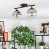 Koyoto ceiling light, globe light clear, Smoke-coloured, 2-light sources