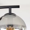 Koyoto ceiling light, globe light clear, Smoke-coloured, 2-light sources