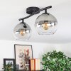 Koyoto ceiling light, globe light clear, Smoke-coloured, 2-light sources