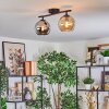 Koyoto ceiling light, globe light Amber, Smoke-coloured, 2-light sources