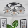 Ripoll ceiling light, globe light clear, Smoke-coloured, 3-light sources