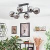 Ripoll ceiling light, globe light Smoke-coloured, 6-light sources