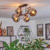 Ripoll ceiling light, globe light Smoke-coloured, 6-light sources