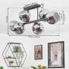 Ripoll ceiling light, globe light Smoke-coloured, 6-light sources