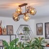 Ripoll ceiling light, globe light Amber, Smoke-coloured, 6-light sources