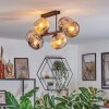 Ripoll ceiling light, globe light Amber, Smoke-coloured, 6-light sources