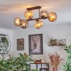 Ripoll ceiling light, globe light Amber, Smoke-coloured, 6-light sources