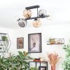 Ripoll ceiling light, globe light Amber, clear, Smoke-coloured, 6-light sources