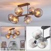 Ripoll ceiling light, globe light clear, Smoke-coloured, 6-light sources