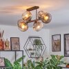 Ripoll ceiling light, globe light clear, Smoke-coloured, 6-light sources
