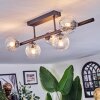 Chehalis ceiling light, globe light clear, 5-light sources