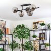 Gastor ceiling light, globe light Smoke-coloured, 5-light sources