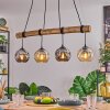 Ripoll hanging light, globe light, pendant light Ecru, black, 4-light sources
