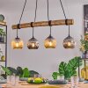 Ripoll hanging light, globe light, pendant light Ecru, black, 4-light sources