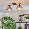 Koyoto ceiling light, globe light Amber, clear, Smoke-coloured, 2-light sources
