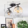 Koyoto ceiling light, globe light Amber, clear, Smoke-coloured, 2-light sources