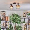 Koyoto ceiling light, globe light Amber, clear, Smoke-coloured, 2-light sources