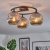 Ripoll ceiling light, globe light Smoke-coloured, 3-light sources