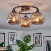 Ripoll ceiling light, globe light Smoke-coloured, 3-light sources