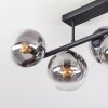 Gastor ceiling light, globe light clear, Smoke-coloured, 5-light sources