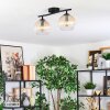 Koyoto ceiling light, globe light Amber, clear, 2-light sources