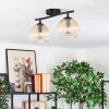 Koyoto ceiling light, globe light Amber, clear, 2-light sources