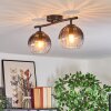 Koyoto ceiling light, globe light clear, Smoke-coloured, 2-light sources