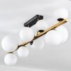 Chehalis ceiling light, globe light gold, black, 10-light sources