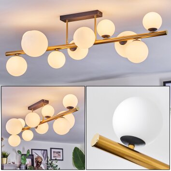 Chehalis ceiling light, globe light gold, black, 10-light sources
