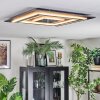 Lidor ceiling light LED anthracite, grey, black, 1-light source