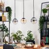 Gastor hanging light, globe light, pendant light Amber, clear, Smoke-coloured, 3-light sources