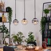 Gastor hanging light, globe light, pendant light Amber, clear, Smoke-coloured, 3-light sources