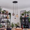 Gastor hanging light, globe light, pendant light Amber, clear, Smoke-coloured, 3-light sources